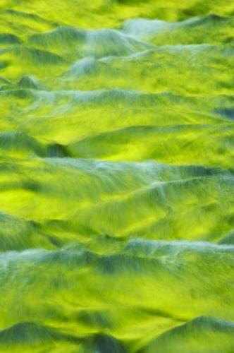 Fillmore Glen State Park;Rivulet;Waterfall;Waterfalls;Brook;Chute;Patterns;Falling;Abstractions;Cascade;Green;Flow;flowing;Moravia;Shapes;Abstract;Spilling;Spray;Stream;Cascading;Reflection;Textures;Cool;New York;Water;Wet;Streamlet;Pouring;Creek;Reflections;Falls;Cataract